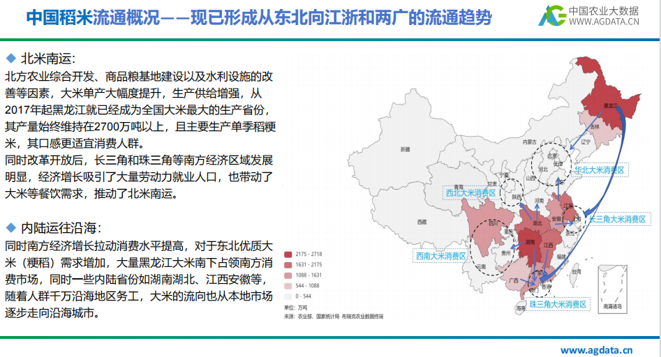 2024年中国稻米产业研究报告