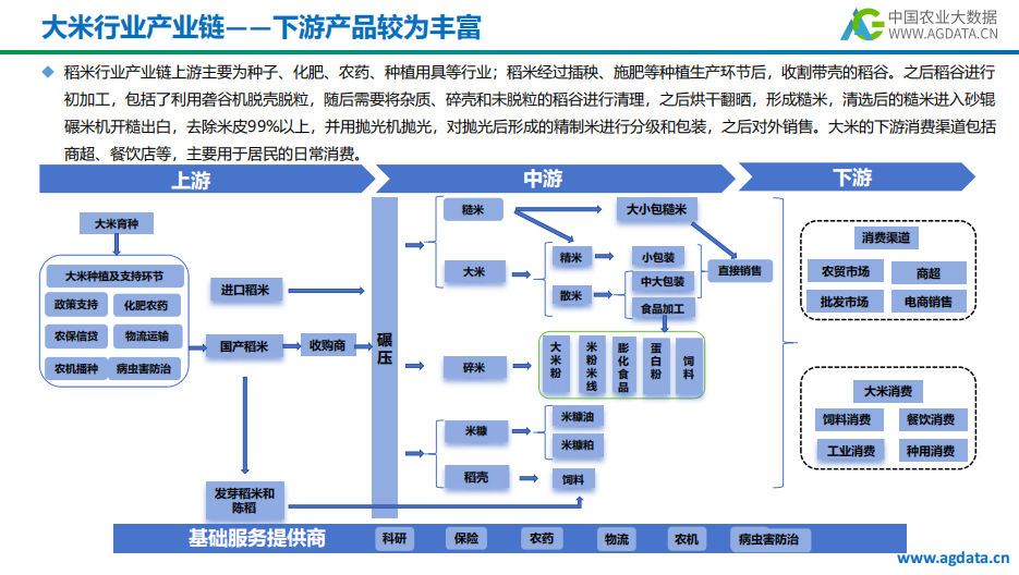 2024年中国稻米产业研究报告