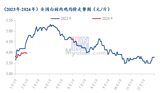 Mysteel解读：活禽火热分割平淡，肉禽各品种渠道不同表现不一