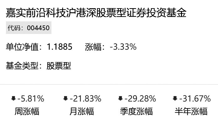 嘉实前沿科技沪港深股票型证券投资基金