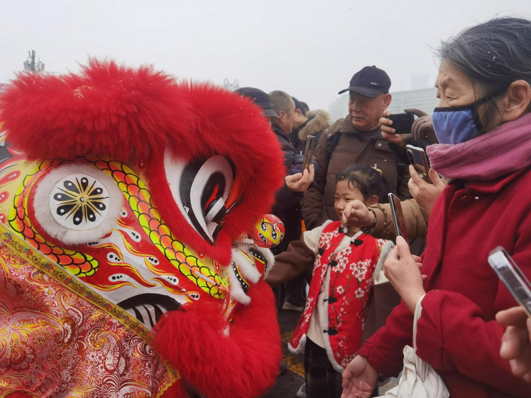 摸摸狮子头,讨个好彩头