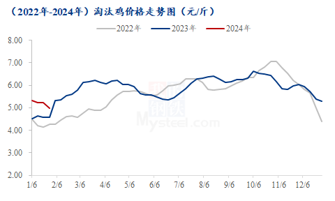 Mysteel解读：1月淘鸡价格持续下跌，2月或仍显弱势