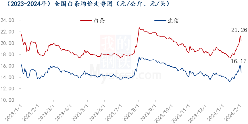 Mysteel解读：节前集中备货降温，毛猪及白条触顶回落