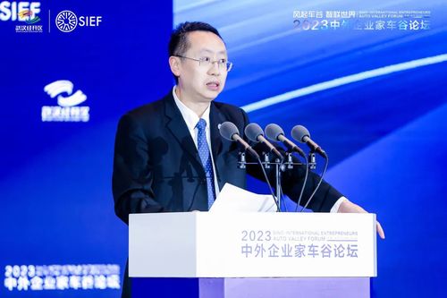 大会由中外企业家联合会中国中心主任董斌主持