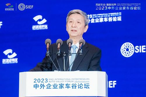 商务部欧洲司原司长孙永福