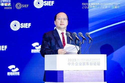 武汉市委常委、武汉经开区工委书记刘子清致辞