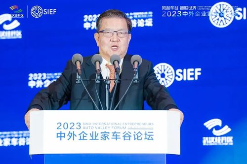 原中国外经贸部副部长、中外企业家联合会联席主席 龙永图