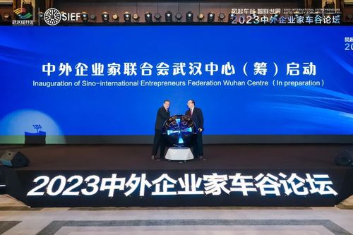 筹备设立“中外企业家联合会武汉中心”启动仪式