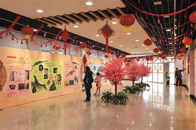 北京动物园举办“万牲寻龙”主题生肖文化展。北京动物园供图