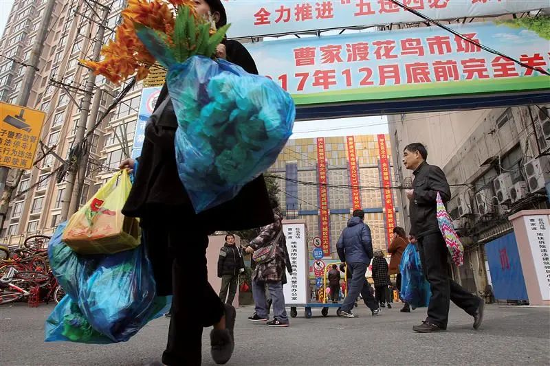 曹家渡花鸟市场关闭前最后一天,市民抢购花卉。蒋迪雯摄