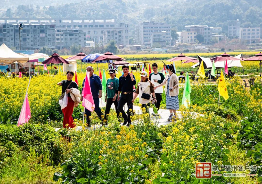 众多游客前来五彩油菜花田踏青观光。包华 摄