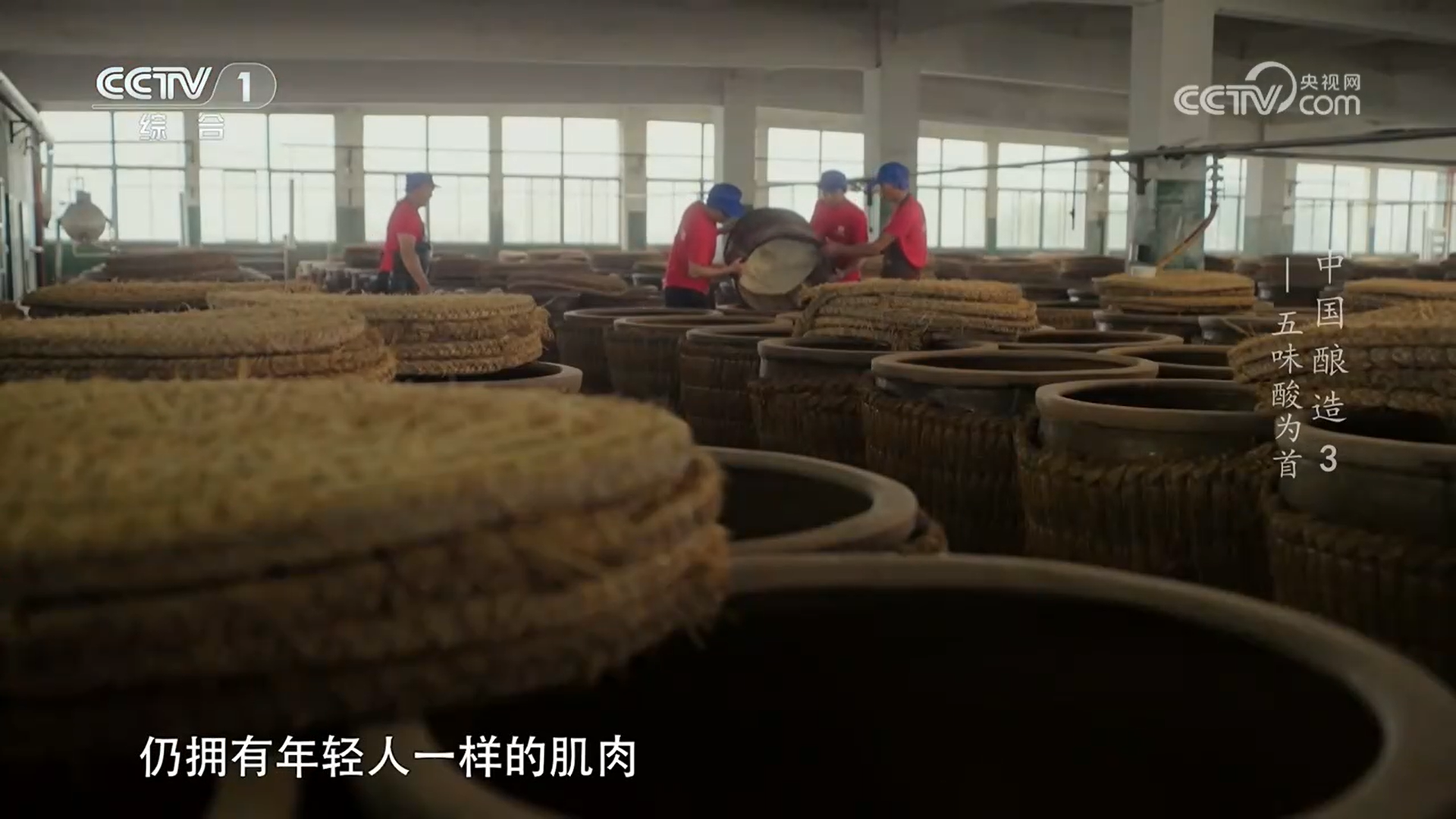 图:《中国酿造》纪录片中海天食醋酿造匠人