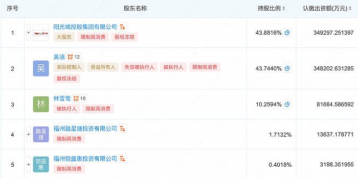 图:福建阳光股东信息 来源:企查查