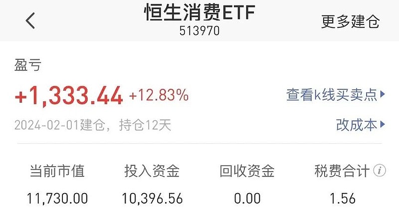 没想到我的这个定投竟然赚钱了