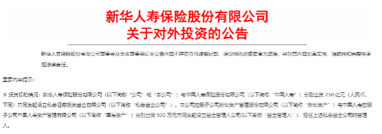 来源:新华保险公告