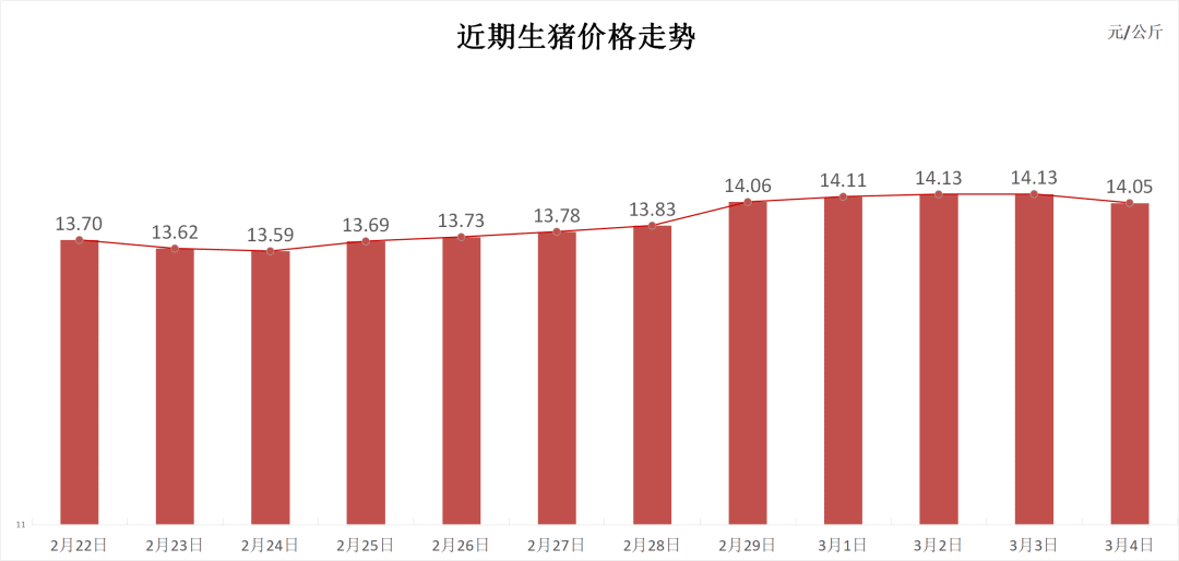 {}每日猪讯3.4,第1张