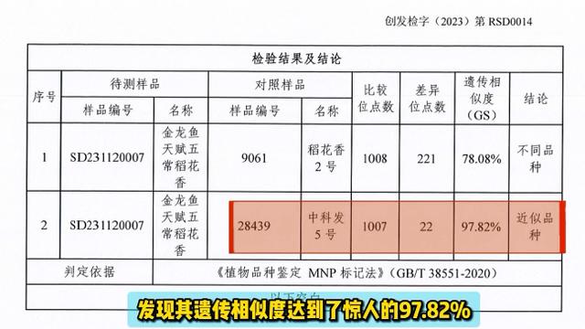 截图自王海今日头条号