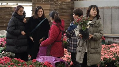 在春天花乐园购买花卉的市民