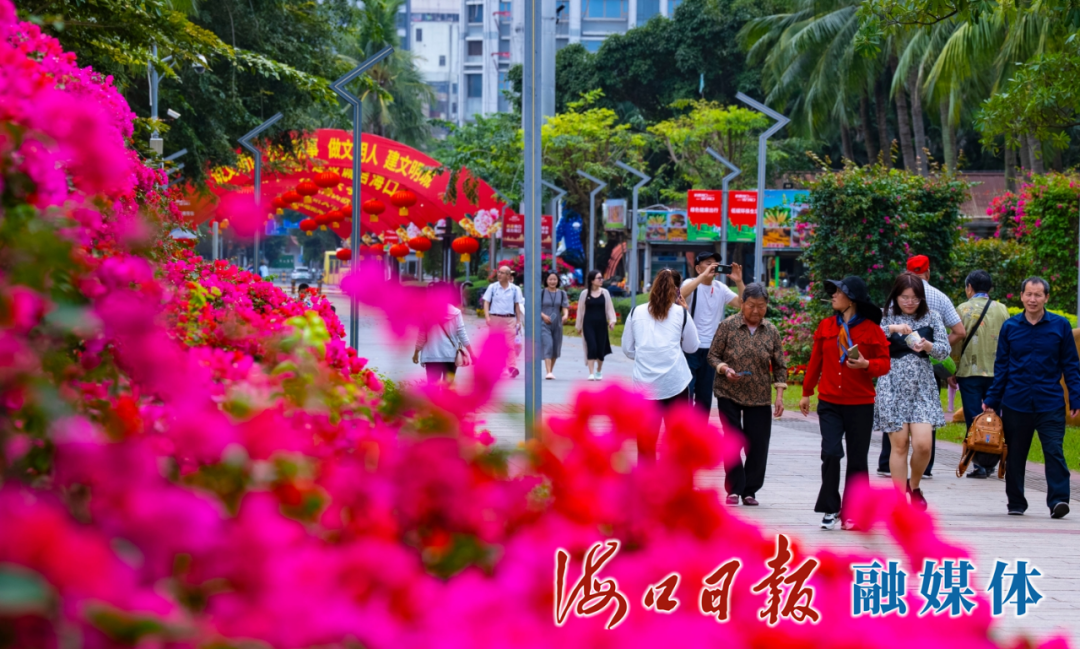 海口万绿园内的三角梅花团锦簇,市民游客在花中游玩。海口日报融媒体记者 杨忠凯 摄
