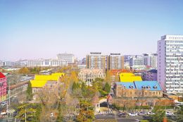 肠道梗阻做什么检查