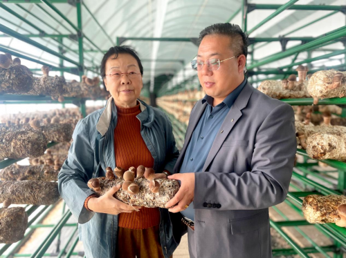 （来源：新视线）