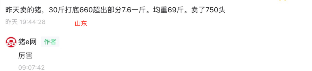 仔猪多钱一头680一头！仔猪要上天？,第3张