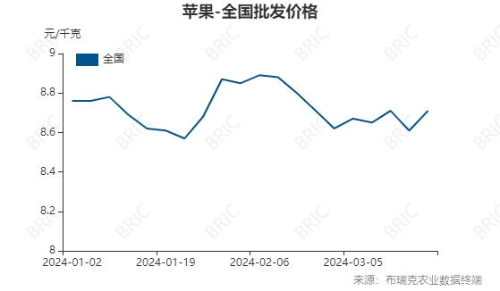 2024年3月19日全国苹果批发价格行情走势