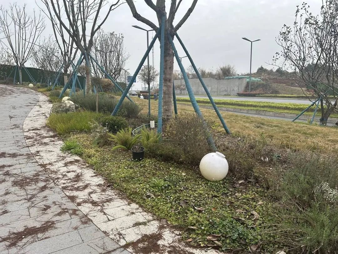 人居云曜林语售楼部,封面新闻记者3月19日拍摄