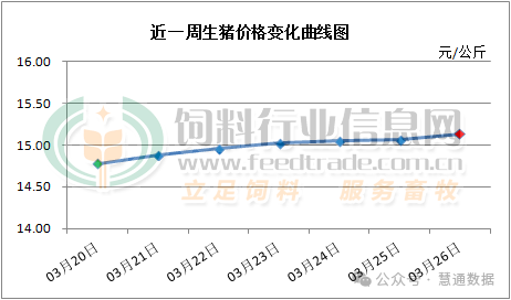 猪价持续上涨