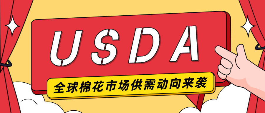 2024/25年度美棉种植意向面积同比增加4.3%