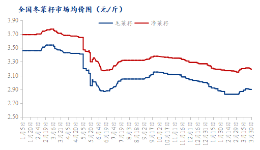 菜籽行情价格预测Mysteel解读：菜籽价格短暂回春后又遇下跌行情,第3张