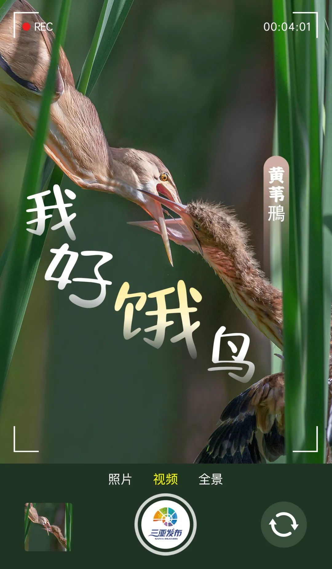 坐等下班图片大全 8731-12c6b7cf128c8ebe7dc131776686c89e.jpg