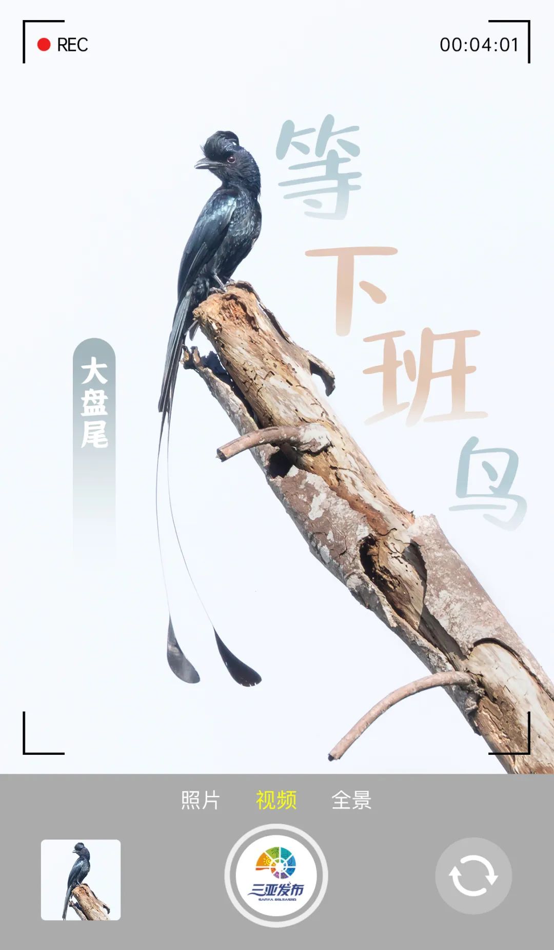 坐等下班图片大全 be30-12e97861a30a5bcbb0b8b903eed14ea9.jpg