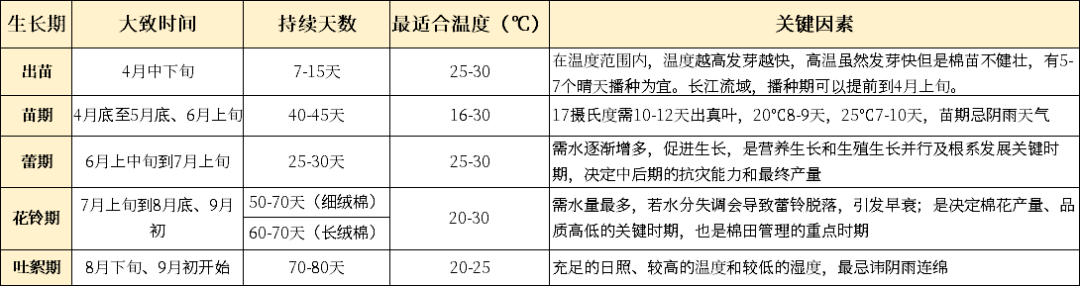 搜一下棉花棉花：值得期待！,第2张