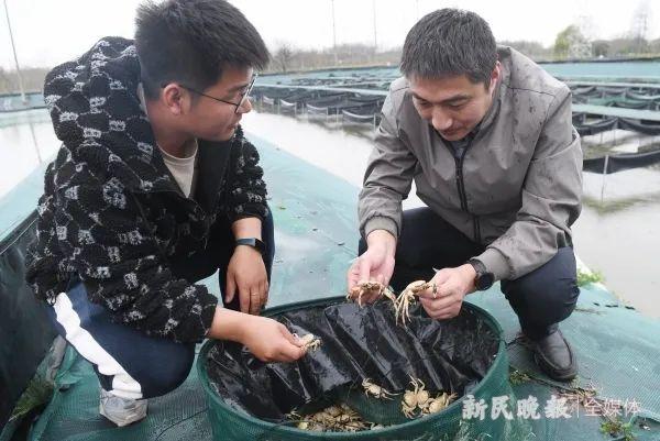 △ 吴旭干(右)与研究生查看蟹苗长势
