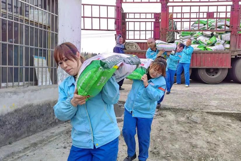 中国石油四川销售公司农资服务小组将化肥挨家挨户送到农户手中。刘彩霞 摄
