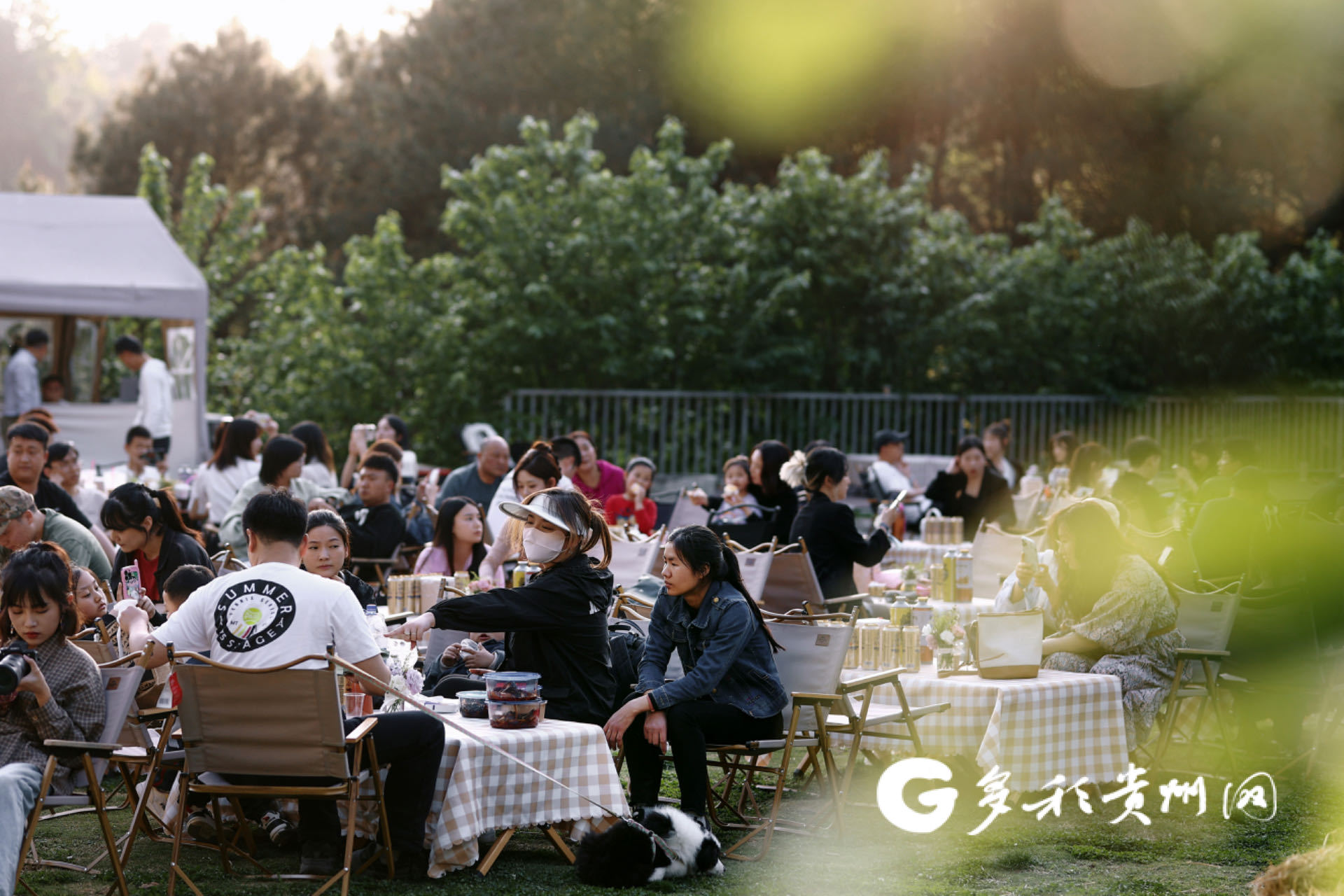 露营成为市民游客热衷的“微度假”“微旅行”方式