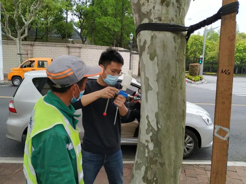 工作人员将药剂注入树干。图片来源：上海市绿化管理指导站