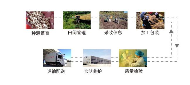 ▲同仁堂中药材质量追溯系统追溯链条