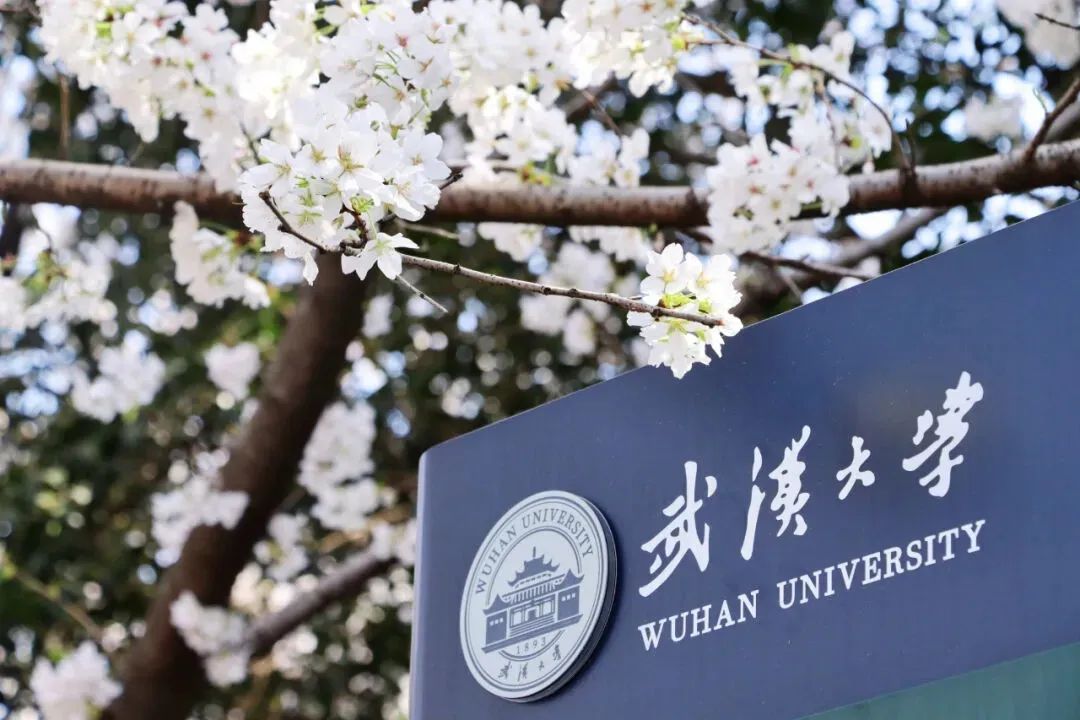 图片来源:武汉大学官微