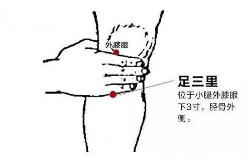 推拿按摩的基础手法20分钟 6352-c64e79cbf66b591e2c866b52c958593d.jpg