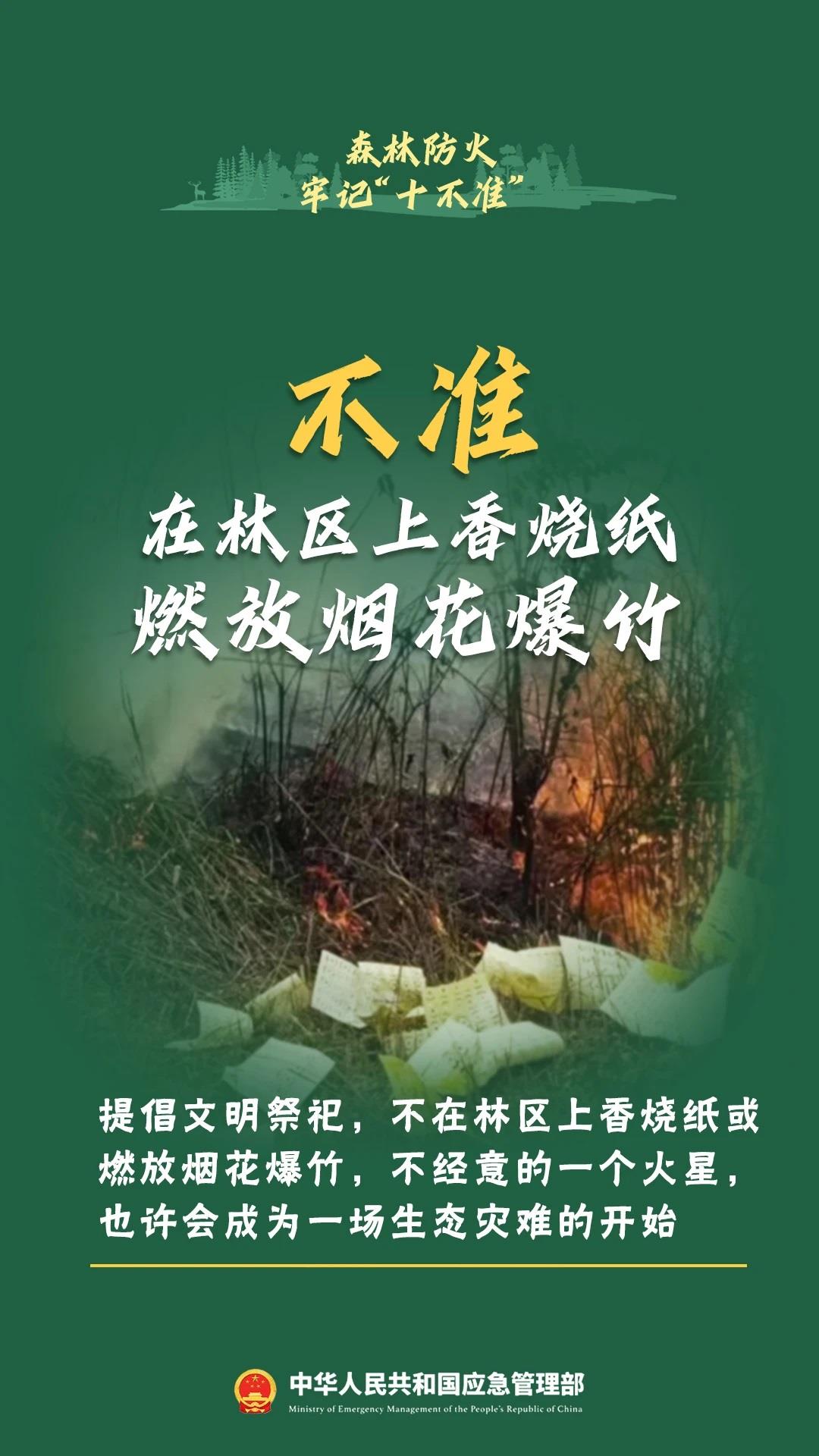 萤火虫电影券用不了 0851-86e2fad79e27669775eb1360b0804178.jpg