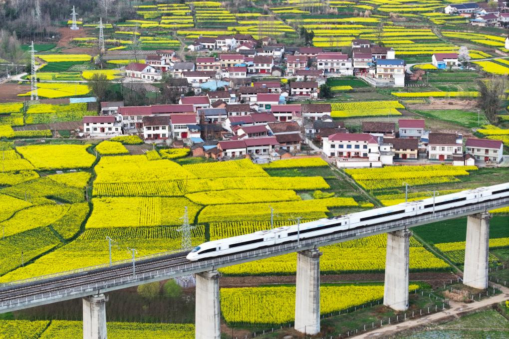   3月20日，西成高鐵線上的列車駛過陝西漢中市南鄭區陽春鎮（無人機照片）。新華社記者 邵瑞 攝