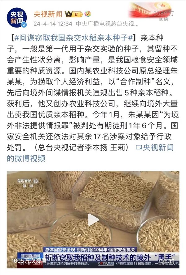 偷卖种子就是对境外提供情报！这事儿没你想的那么简单