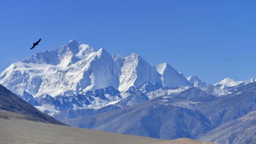 西藏最高峰 1c06-93be82457f3c8461e807f8ad5ce47365.jpg