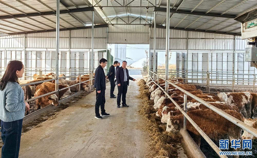 棗陽市畜牧科技特派團隊在養殖場開展技術指導服務。新華網發（湖北省科技廳供圖）