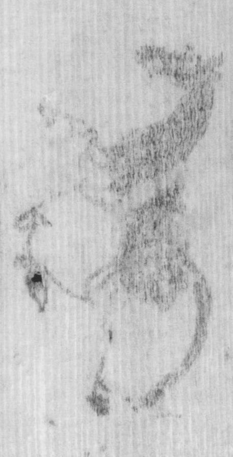 這是甘肅簡牘博物館館藏的繪有馬的漢簡。（甘肅簡牘博物館供圖）