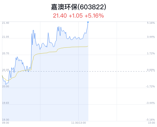 嘉澳环保大幅上涨 主力净流入增加