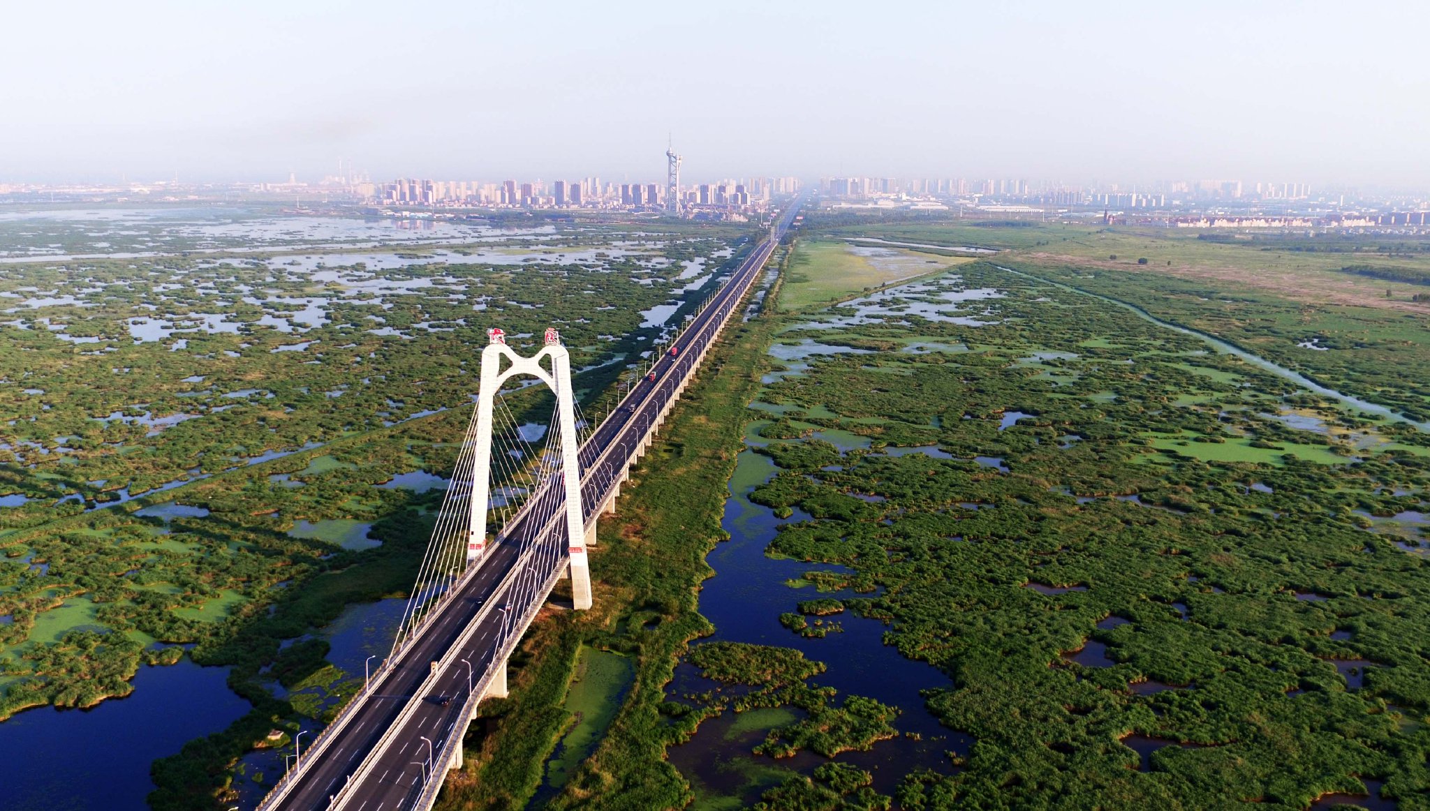 這是大慶龍鳳濕地大橋橫跨龍鳳濕地自然保護區。新華社記者 王凱 攝
