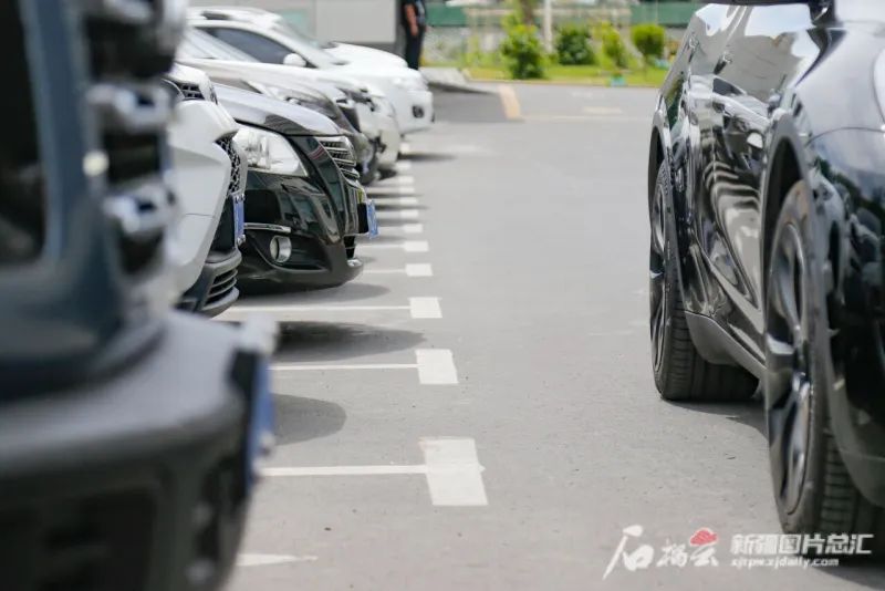资料图片。石榴云/新疆日报记者谢龙摄